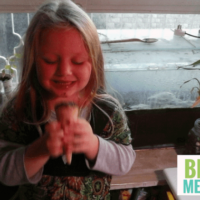 how I made my kids LOVE spirulina