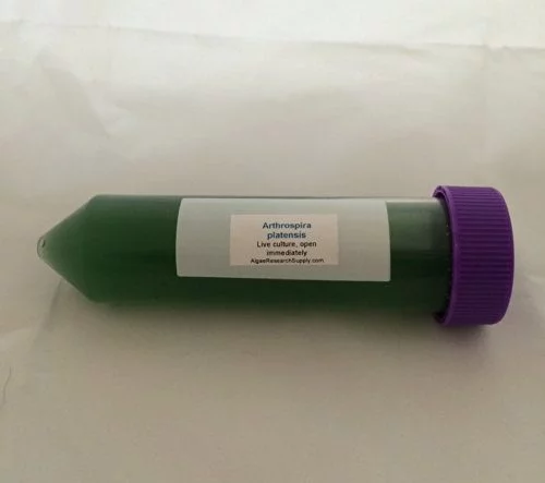 live spirulina culture from the USA