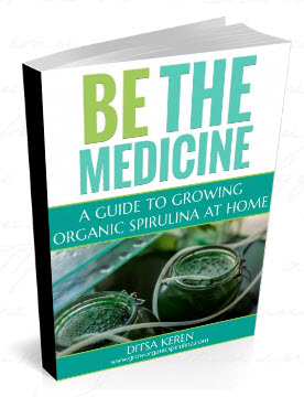 Learn how to Grow Organic Spirulina at home- A step by step Beginner's ...