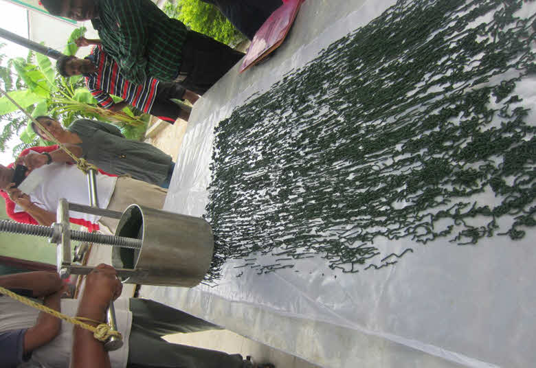 1 yard on sale Spirulina Harvesting Mesh