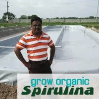 spirulina raceway ponds construction- video consulting session with Avel Jay