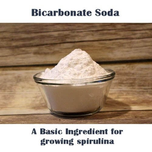 bicarbonate soda for growing spirulina