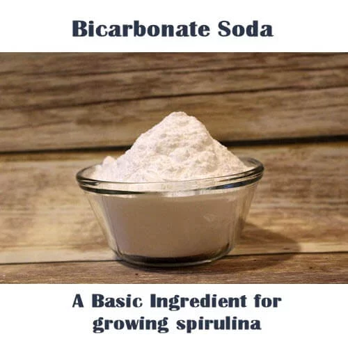 bicarbonate soda for growing spirulina