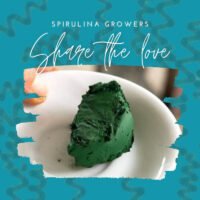 Join Our live spirulina network and sell or buy spirulina online