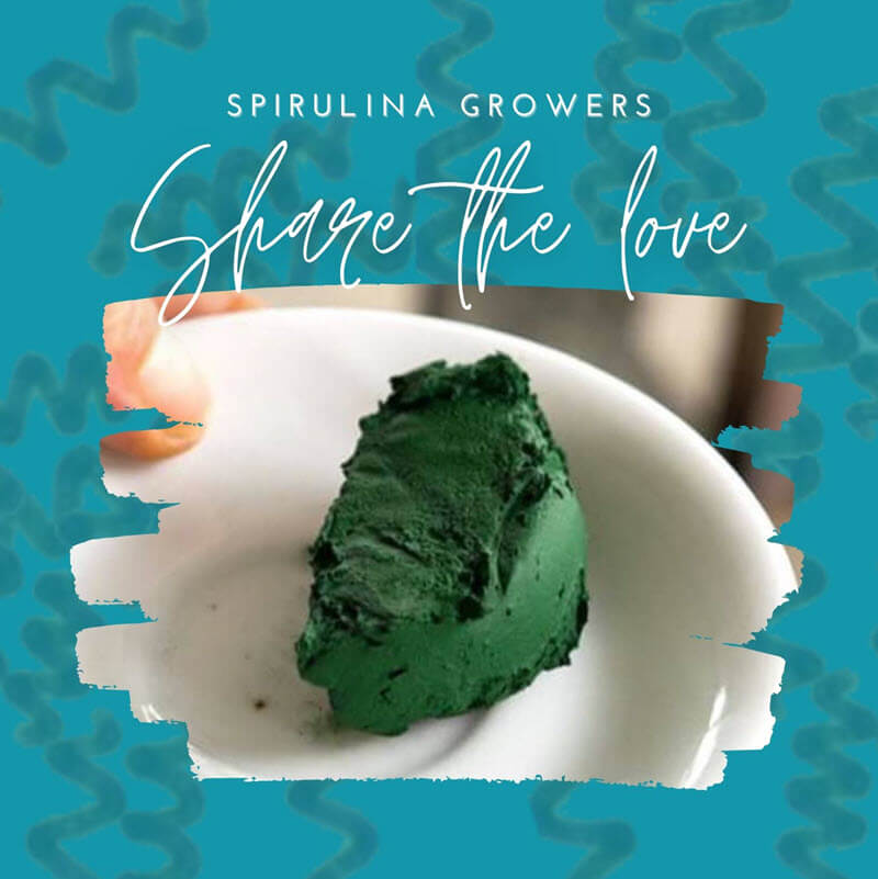 Share Live Spirulina Culture with Growers in Your Area