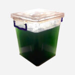 Live Spirulina Algae Seed Culture 450ml/15oz. - Ships Internationally