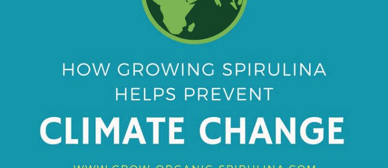 How Growing Spirulina Helps to Prevent Climate Change- Inforgraphic
