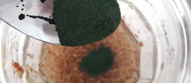 Why Spirulina Is The Ultimate Plant-Based Protein For Vegans
