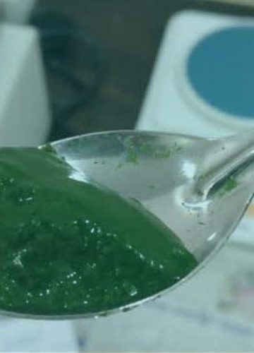 12 Powerful Nutrients That You Can Get From 1 Tablespoon of Spirulina