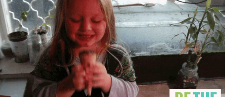 How I Made My Kids LOVE Spirulina